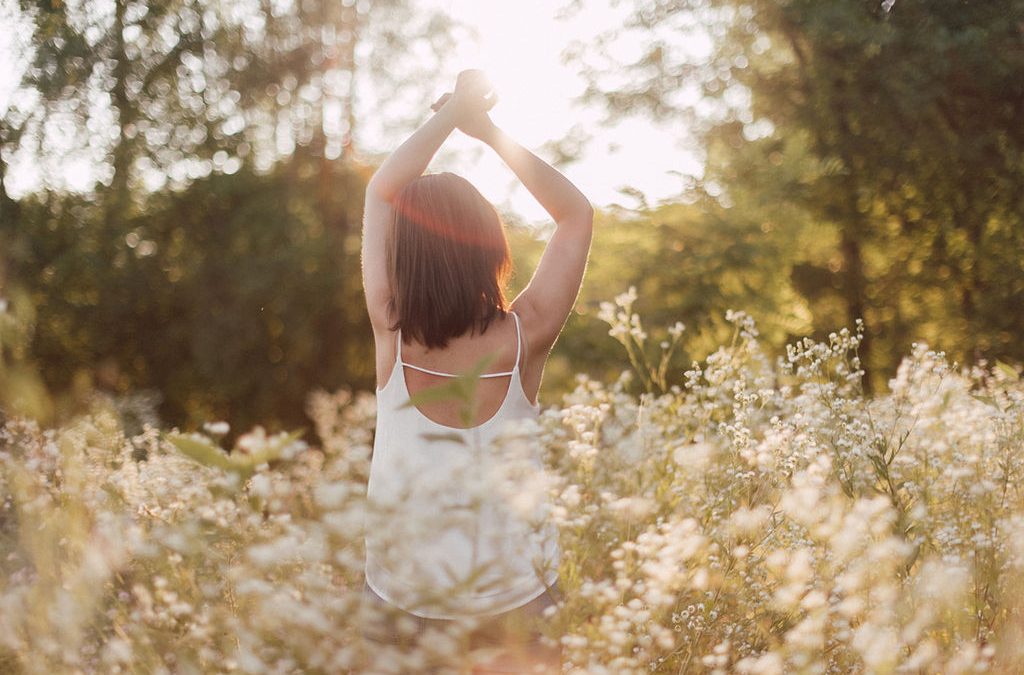 Geschützt: Blog Master