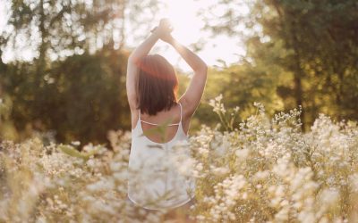 Geschützt: Blog Master